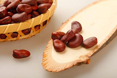 全副武装！《盟军敢死队：起源》现已发布！